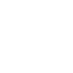 list item image