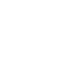 list item image